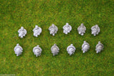 SEPARATE HEADS Tarletons